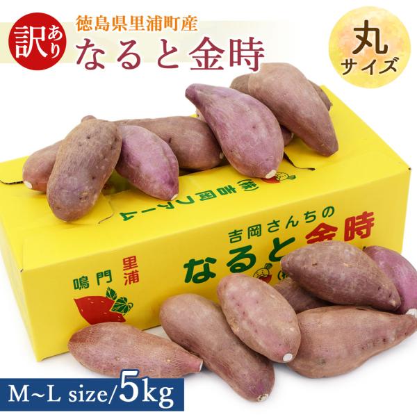 【吉岡さんちの土付きなると金時】吉岡ファームさんの砂畑は、温暖で降雨量の少ない瀬戸内式気候の徳島県鳴門市里浦町にあります。海沿いに位置する里浦は、海のミネラルをたくさん含んだ良質な砂地に恵まれています。四国の澄んだ空気と海風、サンサンと照ら...