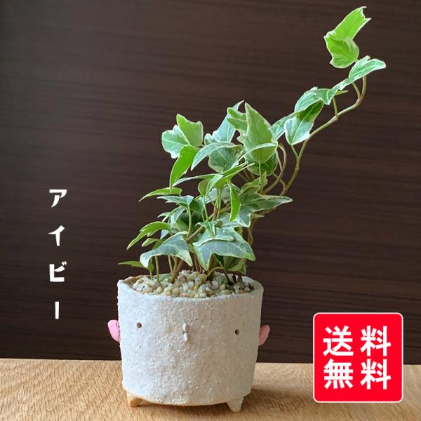 ~ wf ACr[ ϗt ~  ^R N ty߂ JWA ~ | ^R ~ ڂ񂳂