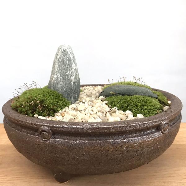 小さな世界で雄大な景色を 苔盆栽 信楽焼鉢 Buyee Buyee 提供一站式最全面最專業現地yahoo Japan拍賣代bid代拍代購服務bot Online