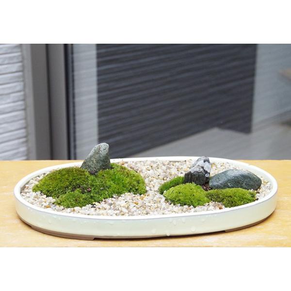 ȐE YȌiF ۖ~ ڂ񂳂 a   RP