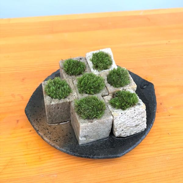 񂾂 Ȃׂ ȑ ۖ~ L[u 7Zbg O    RP