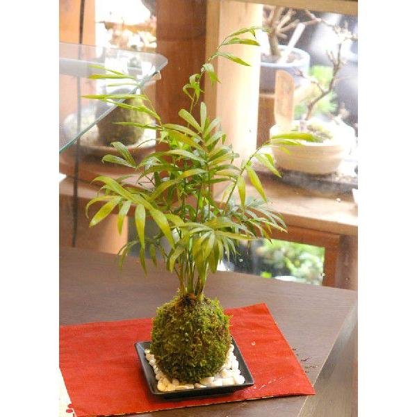 ۋ ~ e[uV ۋ  Zbg ۋ  RP_} O