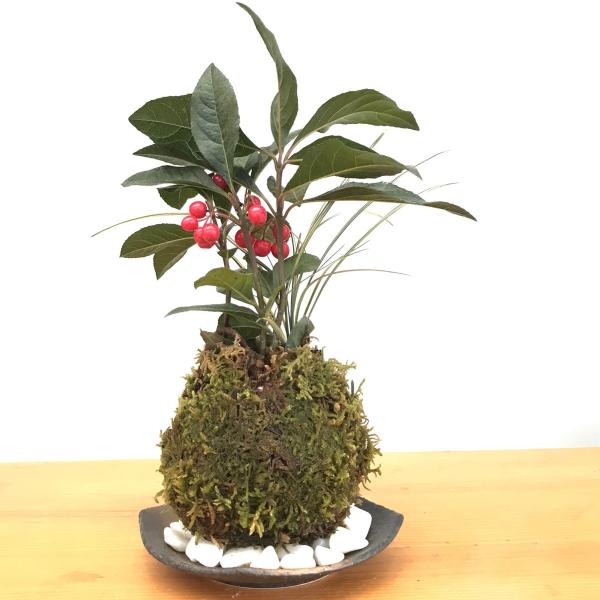 ۋ N̂A uREW ۋ uREW \ 藳̂Ђۋ Zbg Ԃ  RP_} O