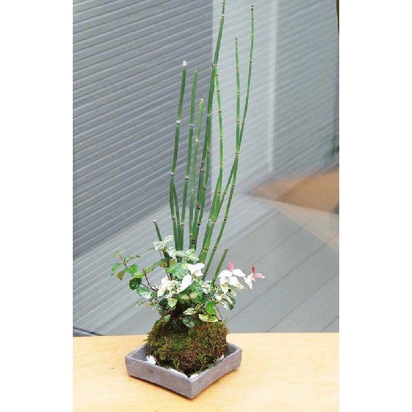 ۋ ~ Ƃp gNT FXȗtFy߂ JY gNT JY̑ۋ ĒpZbg ۋ  RP_}