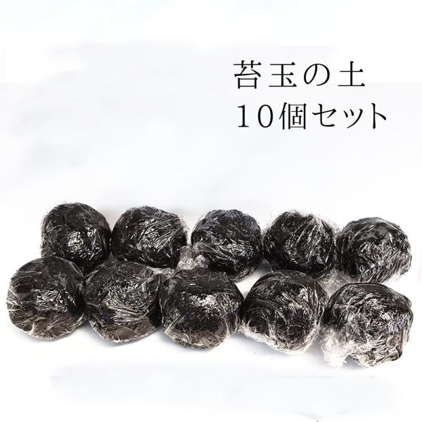 ۋʂÂ ۋʂ̓y 10Zbg    y Pgy  ۋʍ