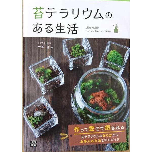 X ݂ǂ艮 a 哇b ۃeÊ鐶