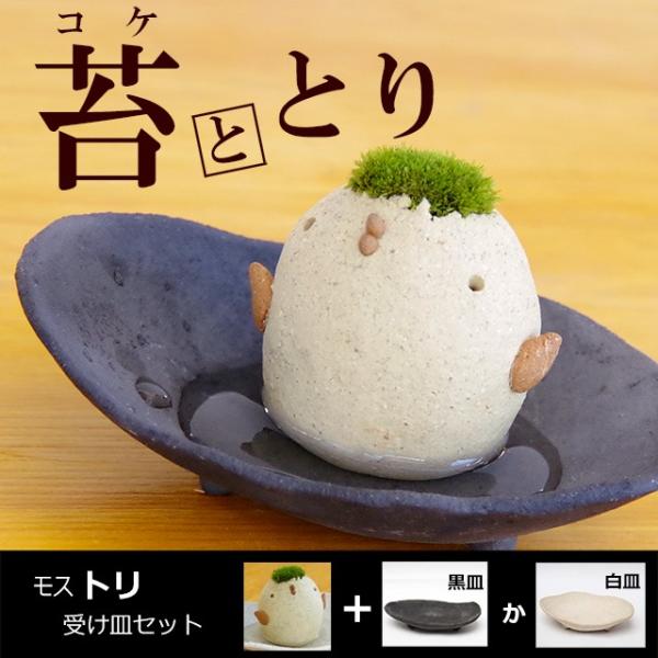  RPeE XX ^R Xh 󂯎MZbg  RP  Ƃ