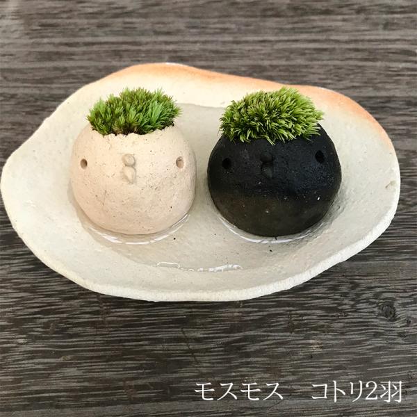 モスモス シリーズ 作家 真山茜 モスコトリ ２匹 受け皿セット コトリ