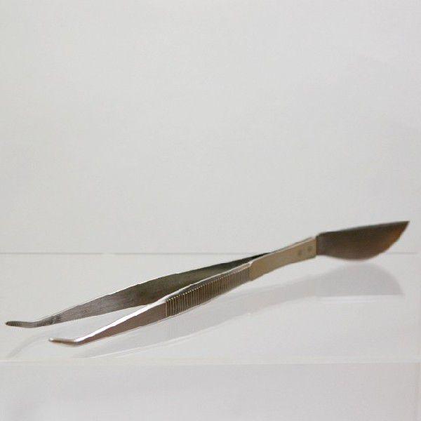 XeX Kтɂ wt sZbg  ~ ڂ񂳂