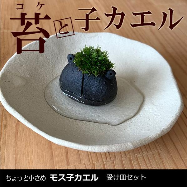 XXV[Y  ^R XqJG1C 󂯎MZbg qJG  JG ^