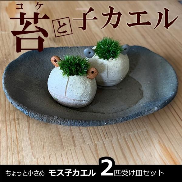 XXV[Y  ^R XqJG QC 󂯎MZbg qJG  ^