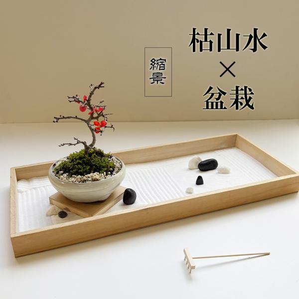 ●セット内容 【枯山水（玉砂利中サイズ）】・蓋つきトレイ・・・1枚・砂・・・1袋・ミニレーキ（熊手）・・・１つ・石（玉砂利）・・・７個・楽しみ方のしおり（日本語版／英語版）【長寿梅盆栽】・長寿梅盆栽（万古白丸鉢）・・・１つ・肥料（一年分）・...