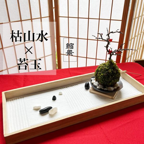 ●セット内容 【枯山水（玉砂利中サイズ）】・蓋つきトレイ・・・1枚・砂・・・1袋・ミニレーキ（熊手）・・・１つ・石（玉砂利）・・・７個・楽しみ方のしおり（日本語版／英語版）【長寿梅苔玉・器セット】・長寿梅の苔玉・・・１つ・器（黒備前小）・・...