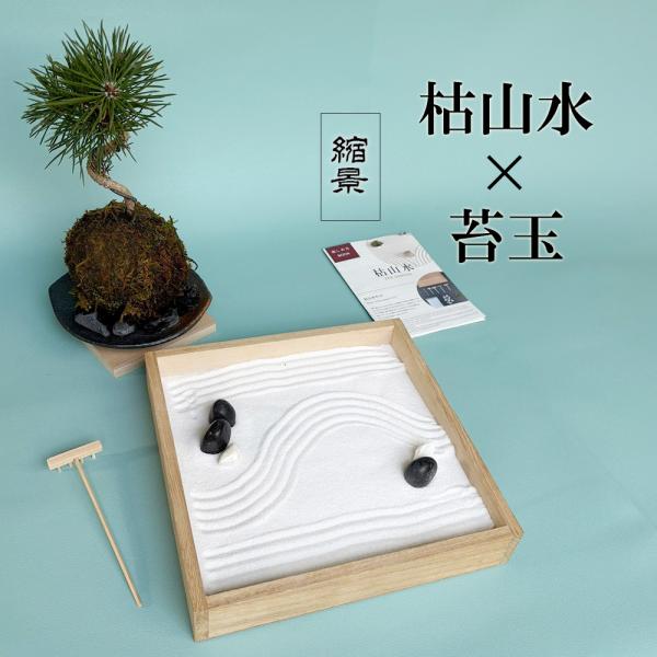 ●セット内容 【枯山水（玉砂利小サイズ）】・蓋つきトレイ・・・1枚・砂・・・1袋・ミニレーキ（熊手）・・・１つ・石（玉砂利）・・・５個・楽しみ方のしおり（日本語版／英語版）【黒松苔玉・器セット】・黒松の苔玉・・・１つ・器（黒備前小）・・・1...