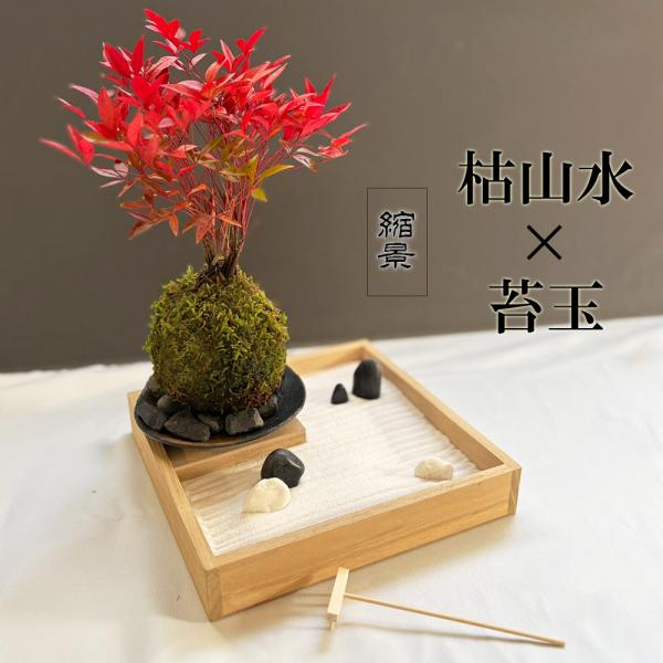 ●セット内容 【枯山水（玉砂利小サイズ）】・蓋つきトレイ・・・1枚・砂・・・1袋・ミニレーキ（熊手）・・・１つ・石（玉砂利）・・・５個・楽しみ方のしおり（日本語版／英語版）【南天苔玉・器セット】・南天の苔玉・・・１つ・器（黒備前小）・・・1...