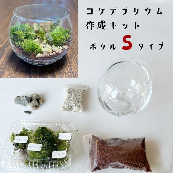 コケテラリウム作成キットは、誰でも簡単に美しいテラリウムを作成できるように設計されています。このキットには、フタつきのボウルと、詳細な作り方の説明書が含まれており、初心者でも安心して取り組むことができます。さらに、育て方のガイドも付属してお...