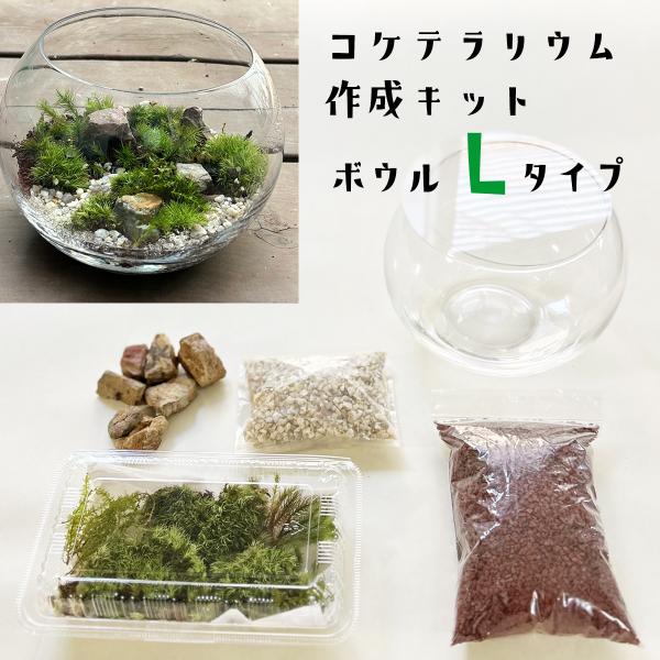 コケテラリウム作成キットは、誰でも簡単に美しいテラリウムを作成できるように設計されています。このキットには、フタつきのボウルと、詳細な作り方の説明書が含まれており、初心者でも安心して取り組むことができます。さらに、育て方のガイドも付属してお...
