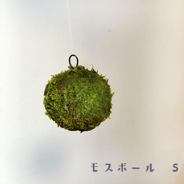 ۋ ~ ݂邵 u ӂ ₳ MOSS BALL X{[ TCY S V`Wcm  RP_}
