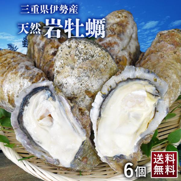 牡蠣 冷凍 殻付きの人気商品 通販 価格比較 価格 Com