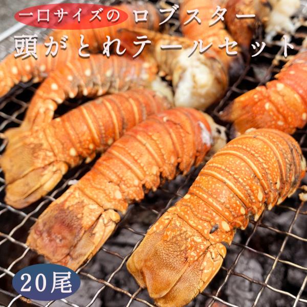 ロブスター 冷凍 エビの人気商品 通販 価格比較 価格 Com