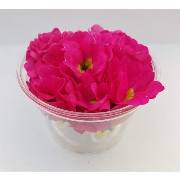 エディブルフラワー 食用 食べられるお花 ジュリアン ピンク 人気 オススメ Juliana003 三重のお土産横丁 通販 Yahoo ショッピング