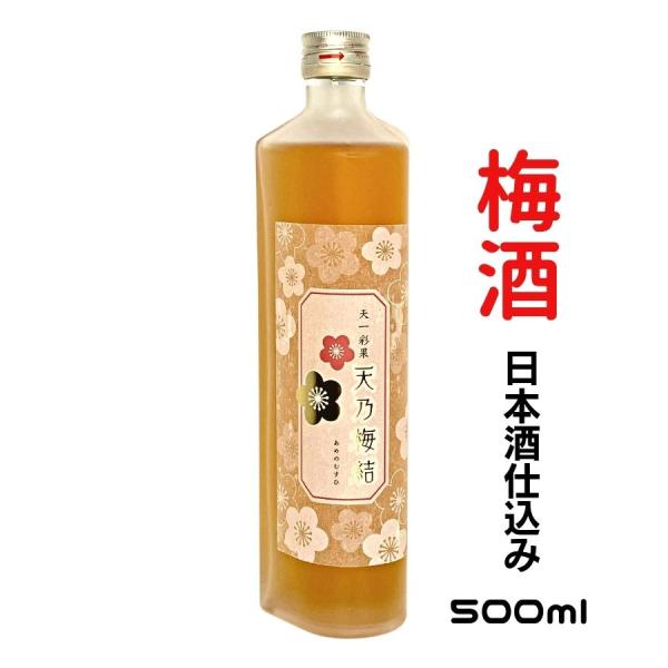 梅酒 日本酒 天一 彩果天乃梅結 500ml おすすめ 飲み比べ セット 酒