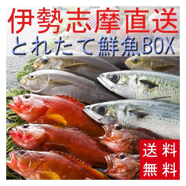送料無料 とれたて鮮魚BOX2kg 三重県産 天然魚 詰め合わせ セット 刺身 