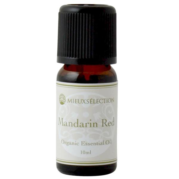 I[KjbNGbZVIC }_Ebh 10mly[֑Ώہz