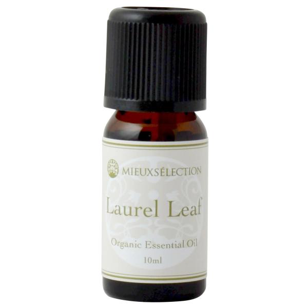 I[KjbNGbZVIC [E[t 10mly[֑Ώہz