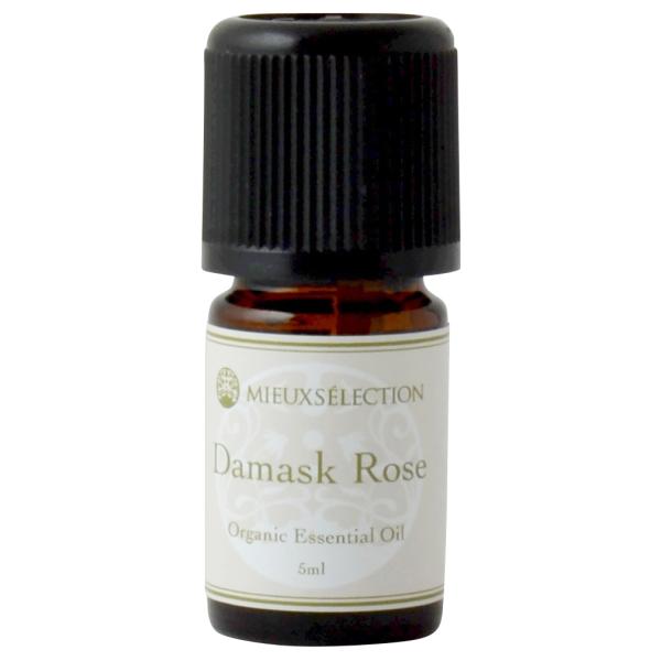 I[KjbNGbZVIC _}XN[Y 5mly[֑Ώہz