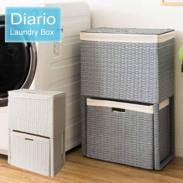 h[{bNX 2i Diario fBAI lH^ ^h[{bNX  RB-500 LX^[t y 󕨕