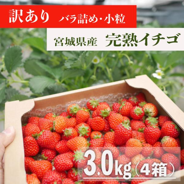 宮城県産/ジャム加工用イチゴ（小粒、ばら詰め）4箱(3kg)　日時指定可