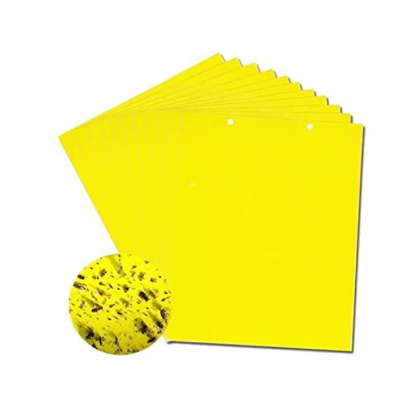 ・シート  ・・Color:シート・【捕虫シート】畑や植物周りにこの虫取りシートを置くだけで簡単に捕獲できる防虫シートです。・【50枚セット】大容量の50枚セットなので、農家の方々にもおすすめです。野菜、栽培をされている方にも。・【強力】一...