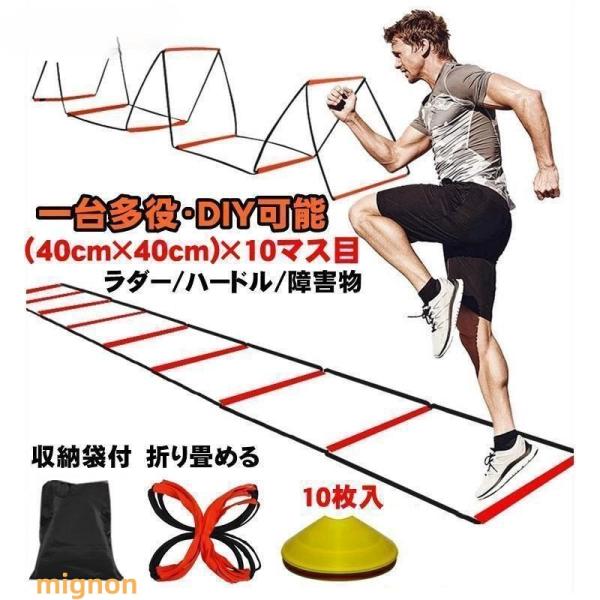 トレーニング ラダー 4m ミニ ハードル 練習用 野球 陸上 ラグビー アジリティー サッカー フットサル 練習器具 部活 陸上競技場 バレーボール