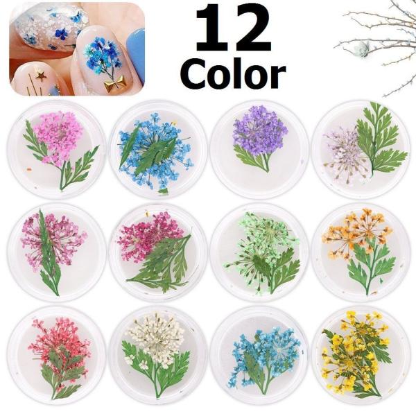 押し花 ネイル パーツの人気商品 通販 価格比較 価格 Com