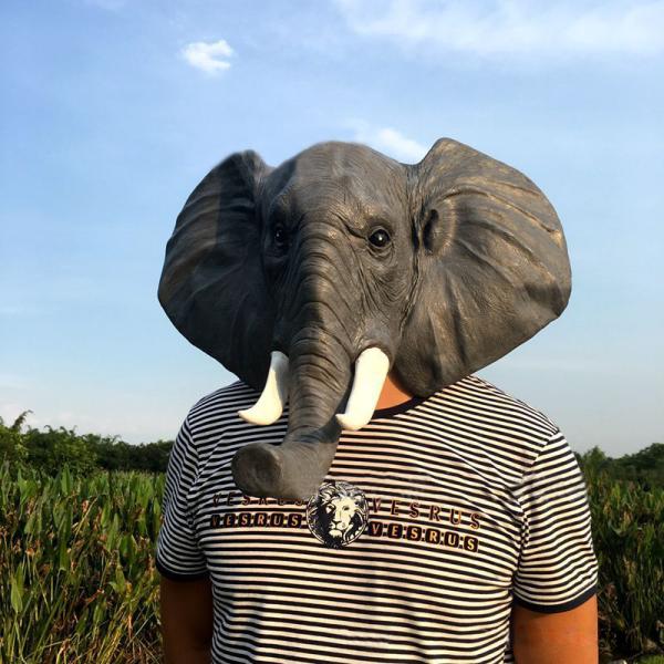 ゾウ 仮装 ホビーの人気商品 通販 価格比較 価格 Com