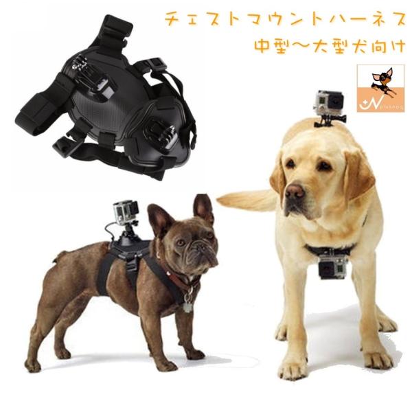 犬用首輪 リード ハーネス カメラ ペットの人気商品 通販 価格比較 価格 Com