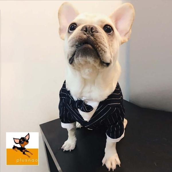 ドッグウェア 犬服 小型犬 子犬 犬用 ペット用品 ペット服 スーツ ジャケット スーツパンツ ツーピース 蝶ネクタイ付き ストライプ 紳士 英国風 Pet 160 おとりよせ Com 通販 Yahoo ショッピング