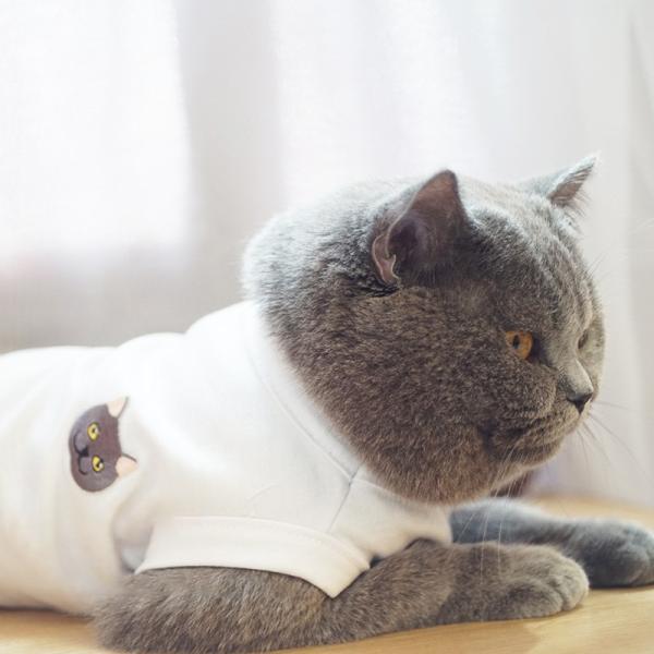 再販 猫ちゃんのメイド服 Minne 日本最大級のハンドメイド 手作り通販サイト