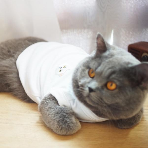 キャットウェア 猫服 猫の服 ペット服 ペットウェア 猫用 ペット用 
