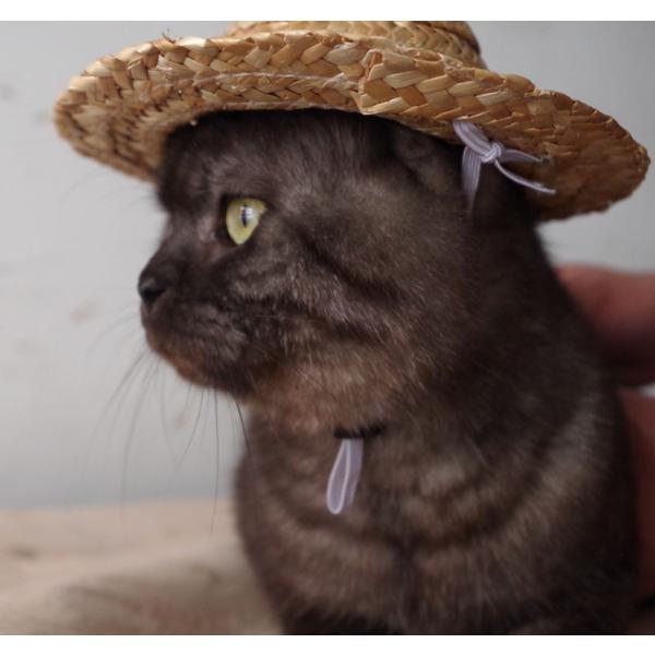 ペット用品 猫ハット 帽子 麦わら帽子 かぶりもの ネコ コスプレ CAT 