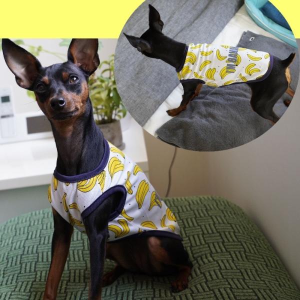 ペットウェア 犬服 イヌ 小型犬 ベスト ワンピース ノースリーブ タンクトップ フリル 紐 リボン 無地 プリント トロピカル柄 フルーツ パイナッ Buyee Buyee Japanese Proxy Service Buy From Japan Bot Online