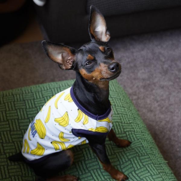 ペットウェア 犬服 イヌ 小型犬 ベスト ワンピース ノースリーブ タンクトップ フリル 紐 リボン 無地 プリント トロピカル柄 フルーツ パイナッ Buyee Buyee Japanese Proxy Service Buy From Japan Bot Online