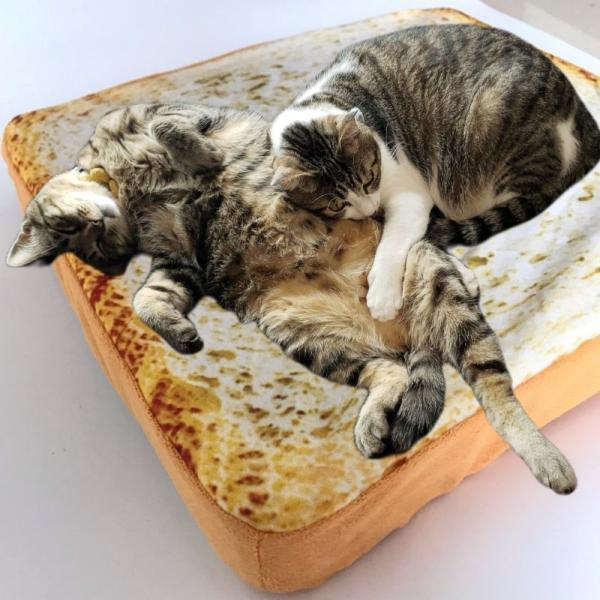 ベッド ペット用 食パンモチーフ クッション マット 40cm スクエア 猫 犬 ペット ペット用品 ペットグッズ 食パン型 ユニーク 面白い 猫用品 Buyee Buyee Jasa Perwakilan Pembelian Barang Online Di Jepang