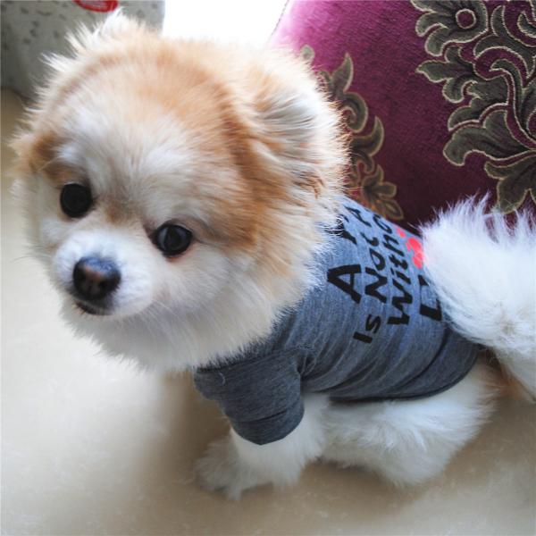 ペット用 犬用 洋服 ドッグウエア Tシャツ プルオーバー 半袖 トレーナー ロゴ 英字 英文 ドッグウェア キュート かっこいい クール かわいい Buyee Buyee 提供一站式最全面最专业现地yahoo Japan拍卖代bid代拍代购服务 Bot Online