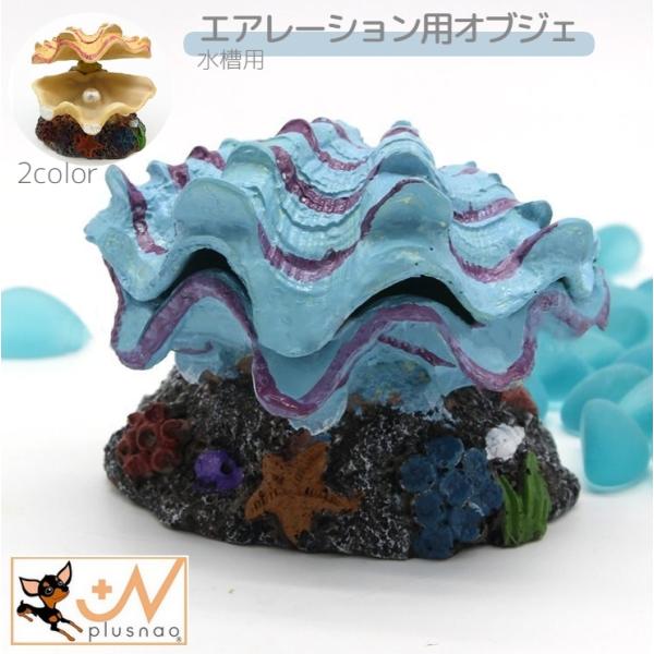 アクアリウム用品 水槽用品 エアレーション用 エアーポンプ用 酸素ポンプ用 オブジェ 装飾 インテリア 真珠貝 貝 シェル ペット用品 ペットグッズ Pet 699 おとりよせ Com 通販 Yahoo ショッピング
