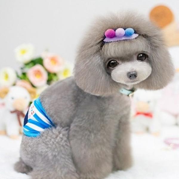 マナーベルト マナーバンド マーキング防止 ワンちゃん かわいい マリンボーダー しましま イカリ 船 ペットグッズ わんちゃん 犬 犬用 いぬ イヌ Buyee Buyee 提供一站式最全面最专业现地yahoo Japan拍卖代bid代拍代购服务 Bot Online