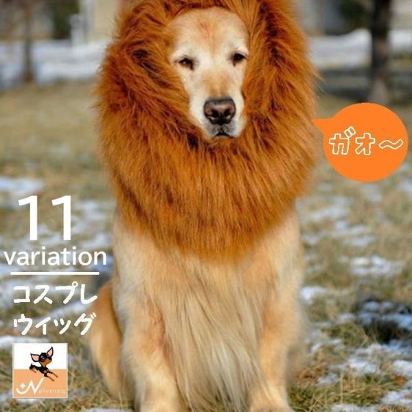 ライオン 仮装 犬用品の人気商品 通販 価格比較 価格 Com
