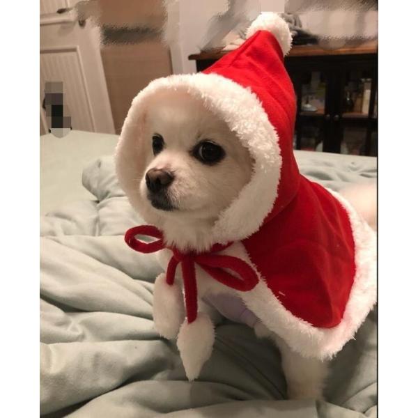 ペット用コスチューム ポンチョ ケープ 犬用 猫用 サンタクロース コスプレ クリスマス ペットウェア ドッグウェア フード付き ポンポン リード穴 Buyee 日本代购平台 产品购物网站大全 Buyee一站式代购 Bot Online
