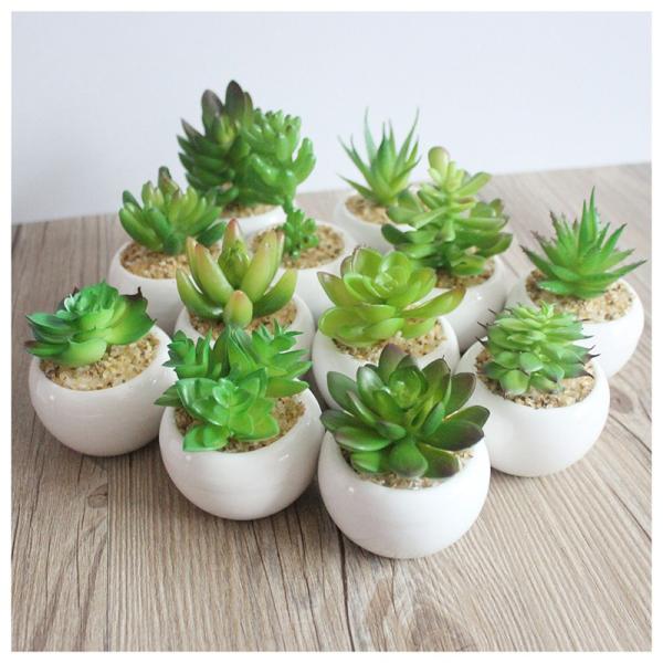人工観葉植物 フェイクグリーン 造花 多肉植物 ミニサイズ インテリア 装飾 窓際 リビング 寝室 ガーデニング 癒し おしゃれ ギフト